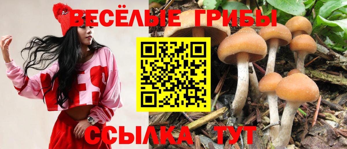 Галлюциногенные грибы Cubensis Нижний Тагил